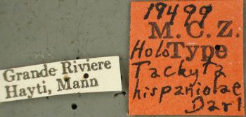 Media type: image;   Entomology 19499 Aspect: labels